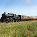 B.R. Standard class 4 2-6-0 76084 near Sheringham with 1M10 10.33 Sheringham - Holt service North Norfolk Railway 2nd September 2017.