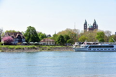 Blick vom badischen Rheinufer nach Speyer