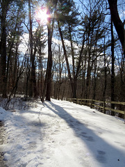 Icy trail