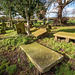 Shotwick church graveyard2.