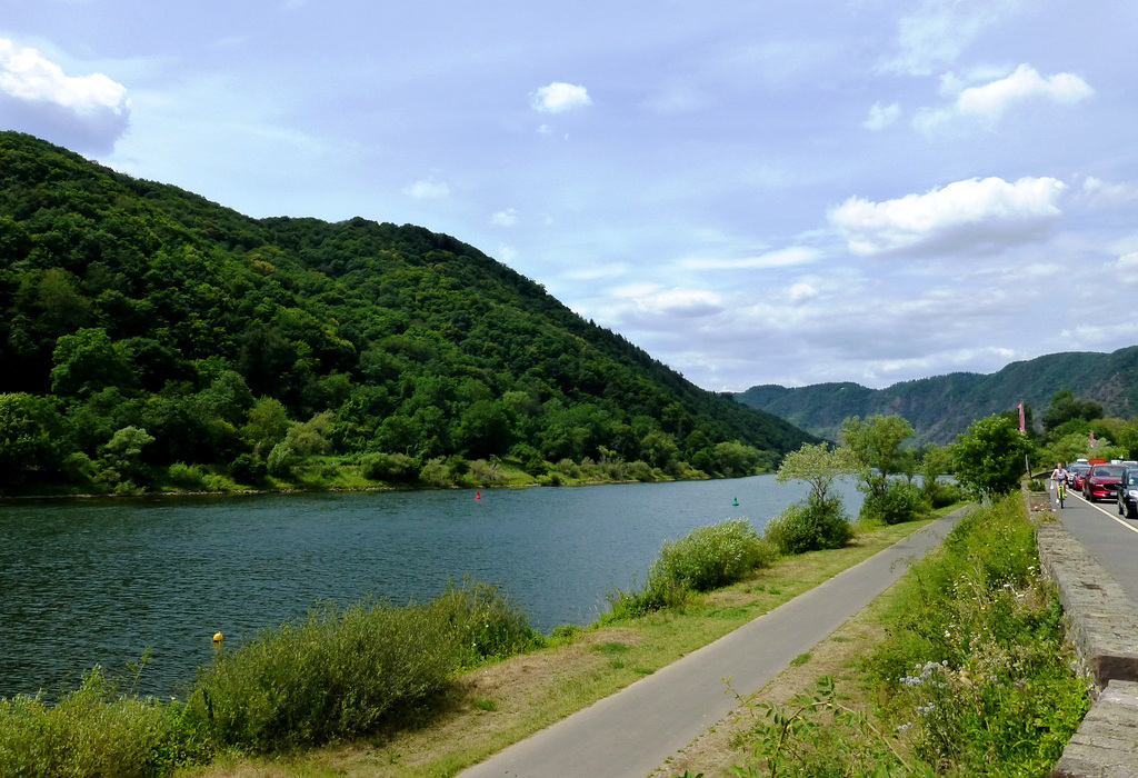 DE - Ediger-Eller - Blick auf die Mosel