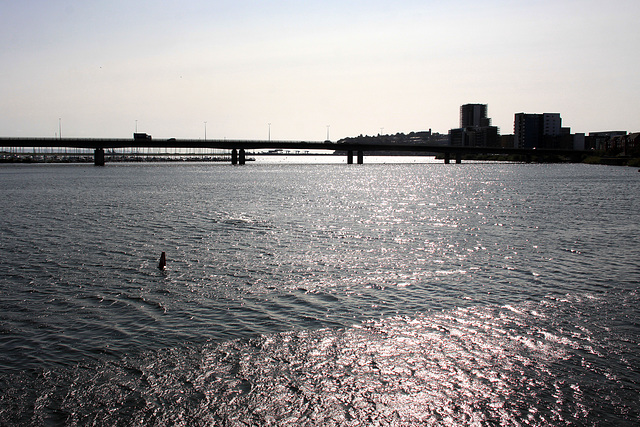 The river Taff