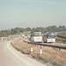 Chenery and Premier Travel  coaches passing on Chalk Hill (A11) - 8 Oct 1995