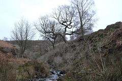 Middle Moor brook