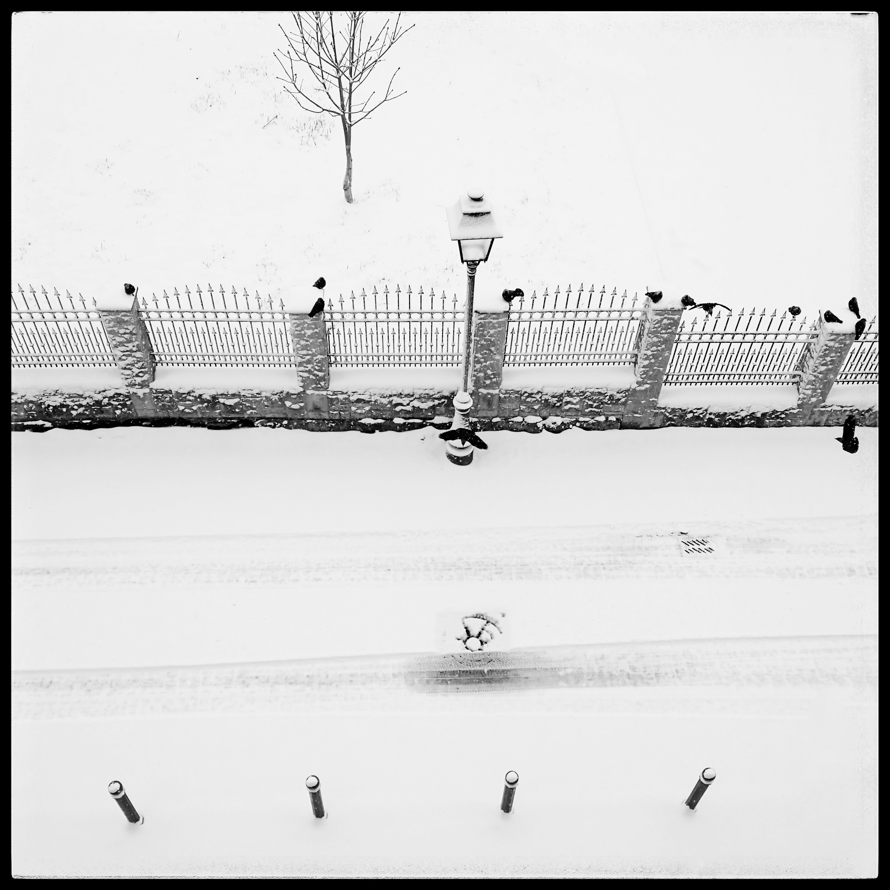 Snowy Alba Iulia