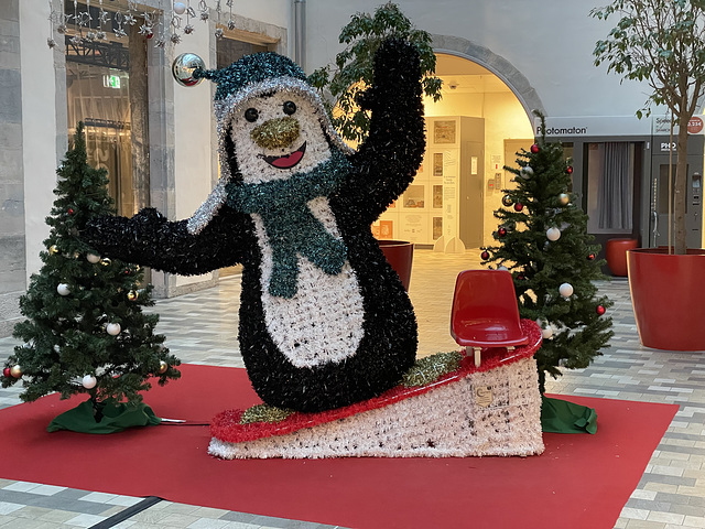 Besançon: Décoration de Noël l'ilot Pasteur