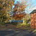 STR[23] - autumnal leaves