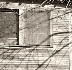 Screen and shadows