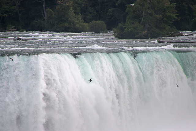 Flying over the falls