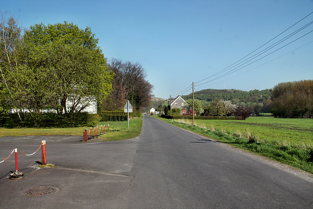 Waldstraße (Bergkamen-Oberaden) / 9.04.2017