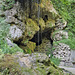 Schloss Andelfingen - Kleiner Wasserfall im Tobel