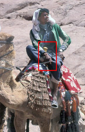 How to sit on a dromedary