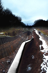 Collapsed walls being observed by a dog