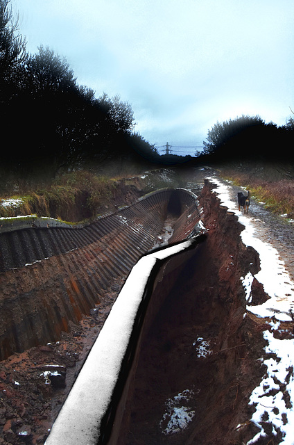 Collapsed walls being observed by a dog