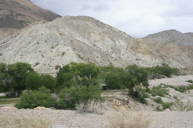 IMG 9897