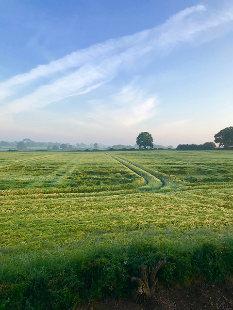 Misty start to the day