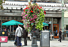 A Street Scene