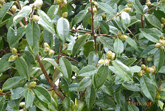 jardin 6/6 jardin 6/6