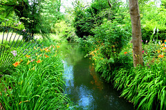 FR - Giverny - Garten von Claude Monet