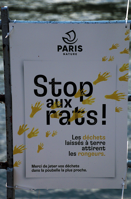 Des rats dans Paris , encore une information fallacieuse pour que l'on jette nos déchets alimentaires dans les poubelles et ainsi économiser du personnel d'entretien .