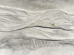 Life flows past like sand