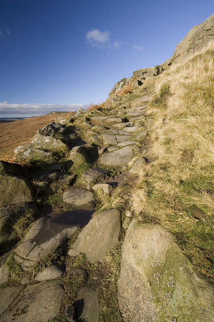 Packhorse track up