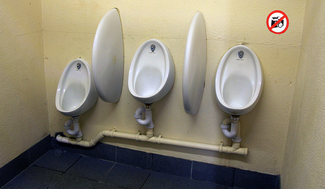 WORLD TOILET DAY