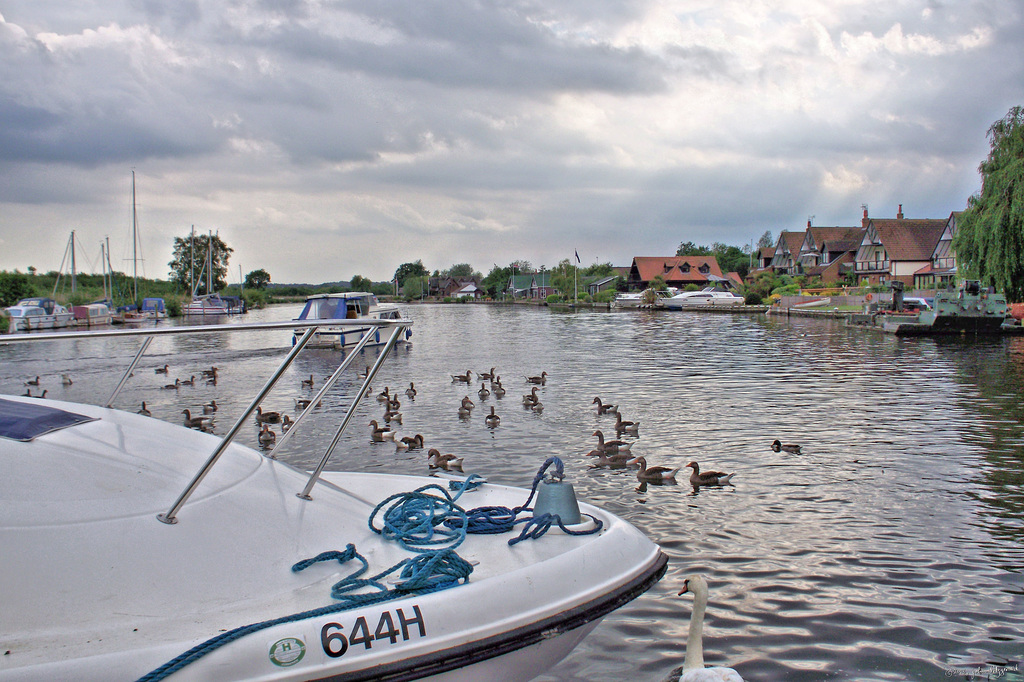 Horning Staithe