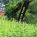 copper mill, walthamstow marshes, london