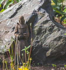 St Francis of the courtyard, on a sunny summer morning