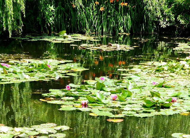 FR - Giverny - Garten von Claude Monet