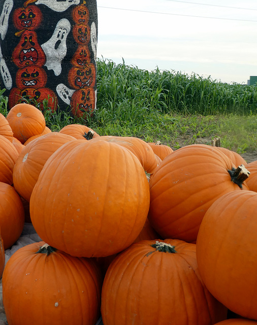 Halloween lässt grüssen.