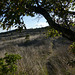 20241010 Mont Baudille (41)