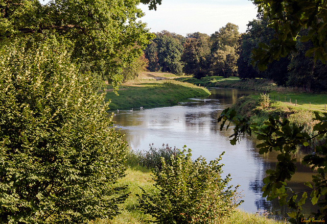 Grenze im Park I