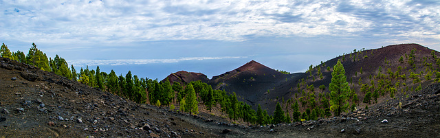 La Palma, Ruta de los Volcanes (5 photos) ¦ pilago