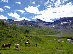 Sommerwanderwetter auf der Engstligenalp