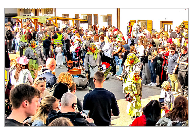 Fasnet 25 Sulzburg