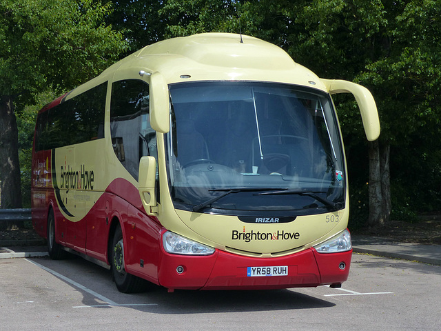 Brighton & Hove 503 in Chichester (2) - 19 June 2015