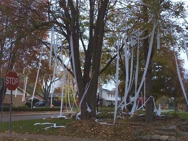 TP'd