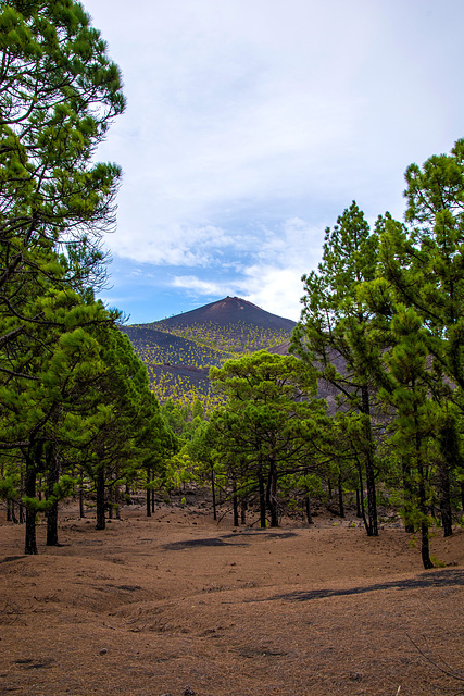 La Palma, Ruta de los Volcanes ¦ pilago(2)