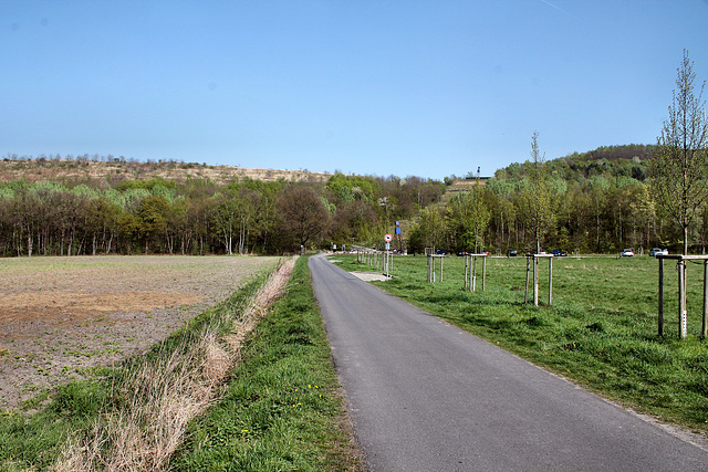 Waldstraße, im Hintergrund die Halde Großes Holz (Bergkamen-Oberaden) / 9.04.2017