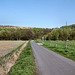 Waldstraße, im Hintergrund die Halde Großes Holz (Bergkamen-Oberaden) / 9.04.2017