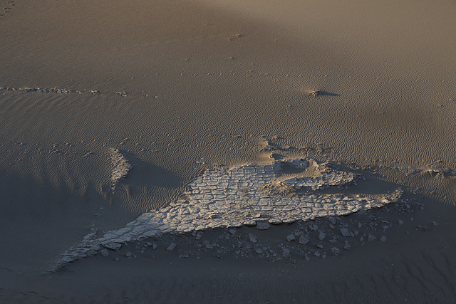 Mesquite Flat Sand Dunes