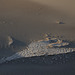 Mesquite Flat Sand Dunes