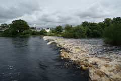 River Cree In Flood