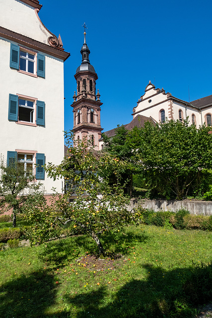 Gengenbach--Baden-Baden-0039