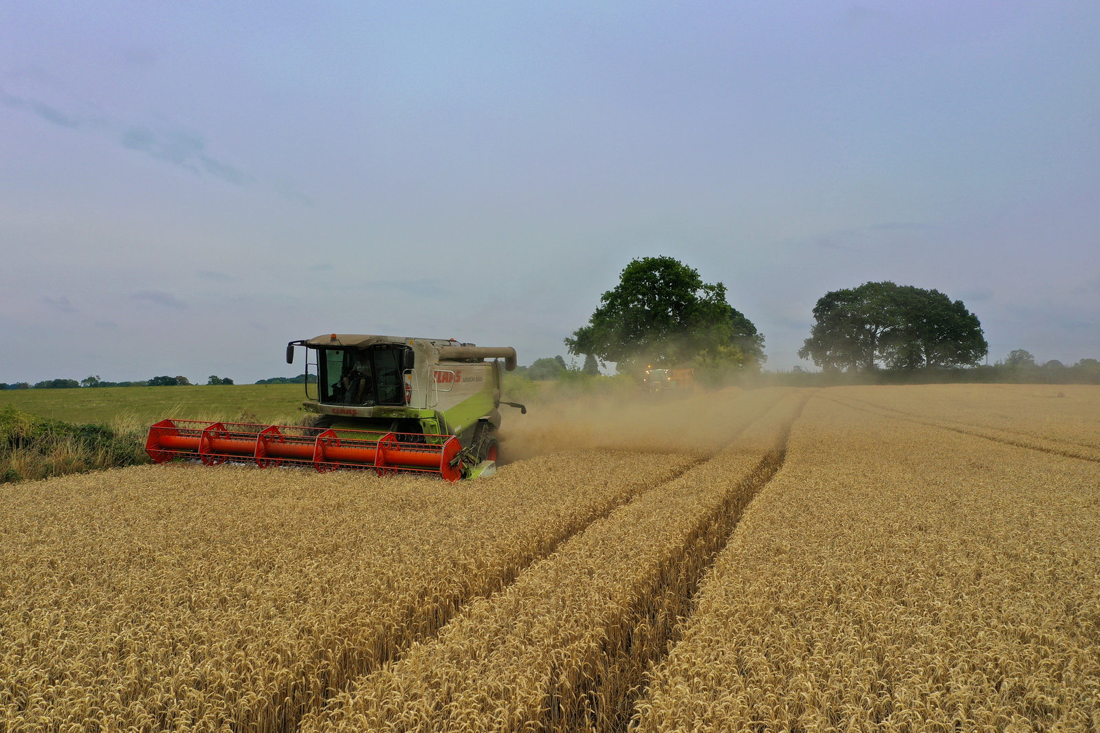 Harvest time
