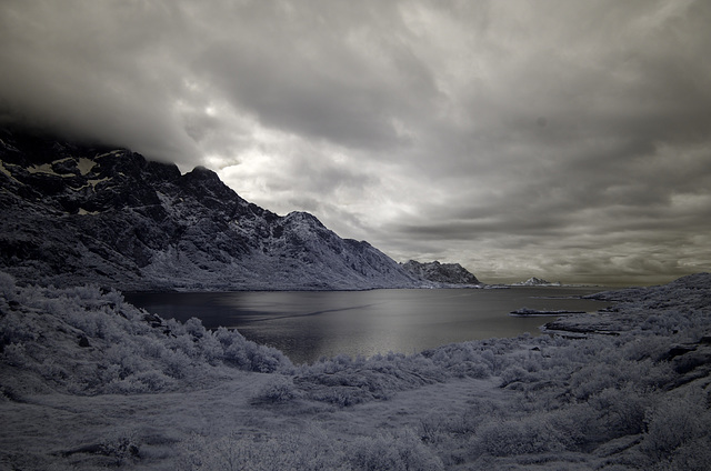 Lofoten - Austvagoya