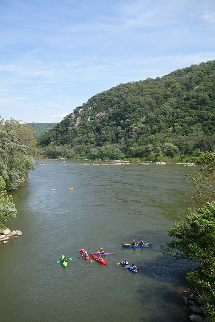 Kayaks and Tubing