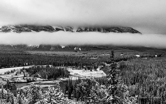 Hoodoos de la région de Banff